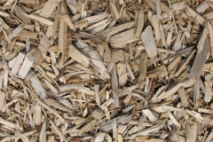 biomass boilers Clephanton